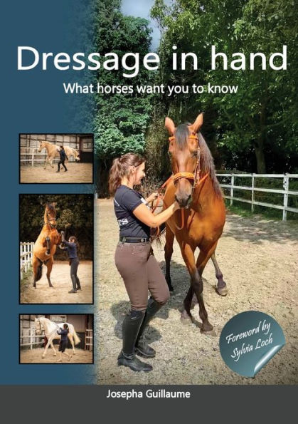 Dressage hand: What horses want you to know