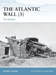 Free ebook download public domain The Atlantic Wall (3): The Sudwall