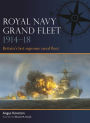 Royal Navy Grand Fleet 1914-18: Britain's last supreme naval fleet