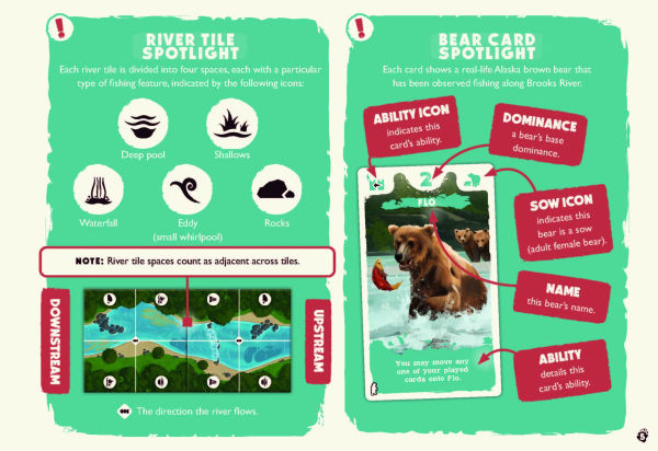 Katmai: The Bears of Brooks River