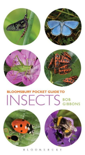 Pocket Guide to Insects