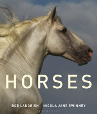 Title: Horses, Author: Nicola Jane Swinney