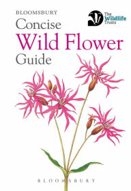 Title: Concise Wild Flower Guide, Author: Bloomsbury