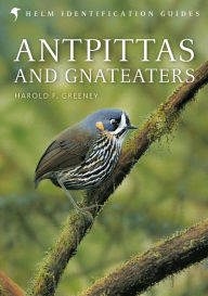 Title: Antpittas and Gnateaters, Author: Harold Greeney