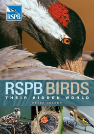 Title: RSPB Birds: their Hidden World, Author: Peter Holden