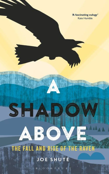 A Shadow Above: The Fall and Rise of the Raven