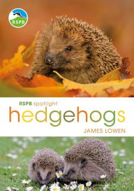 Title: RSPB Spotlight Hedgehogs, Author: James Lowen