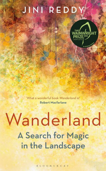 Wanderland: SHORTLISTED FOR THE WAINWRIGHT PRIZE AND STANFORD DOLMAN TRAVEL BOOK OF YEAR AWARD