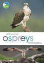RSPB Spotlight Osprey