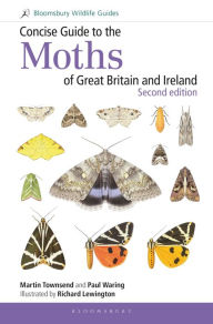 Title: Concise Guide to the Moths of Great Britain and Ireland: Second edition, Author: Martin  Townsend