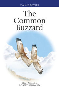 Title: The Common Buzzard, Author: Sean Walls