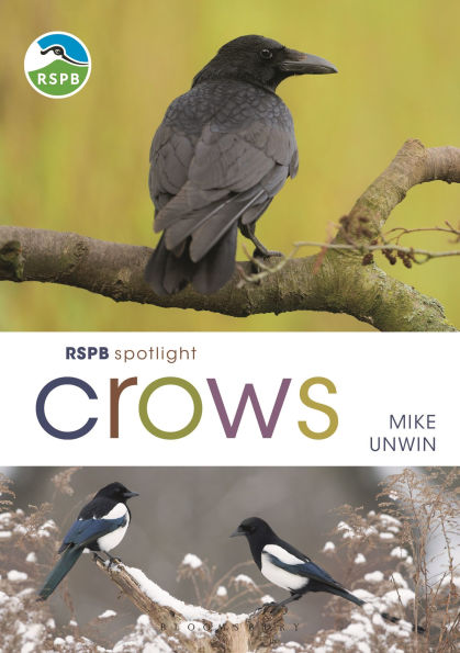 RSPB Spotlight Crows