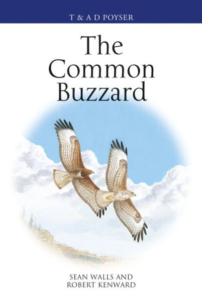 The Common Buzzard