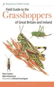 Title: Field Guide to Grasshoppers and Allies of Great Britain and Ireland: Grasshoppers, cockroaches, stick insects, earwigs and praying mantids, Author: Peter Sutton