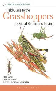 Title: Field Guide to Grasshoppers and Allies of Great Britain and Ireland: Grasshoppers, Crickets, Earwigs, Cockroaches, Mantids and Stick-insects, Author: Peter Sutton