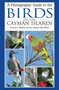 Title: A Photographic Guide to the Birds of the Cayman Islands, Author: Patricia E. Bradley