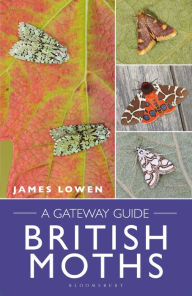 Title: British Moths: A Gateway Guide, Author: James Lowen