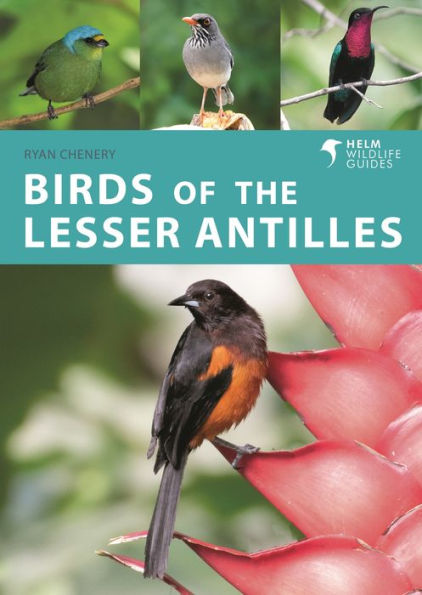 Birds of the Lesser Antilles