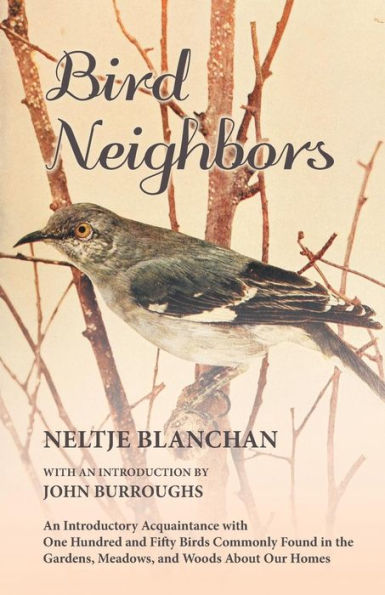 Bird Neighbors - An Introductory Acquaintance with One Hundred and Fifty Birds Commonly Found the Gardens, Meadows, Woods About Our Homes