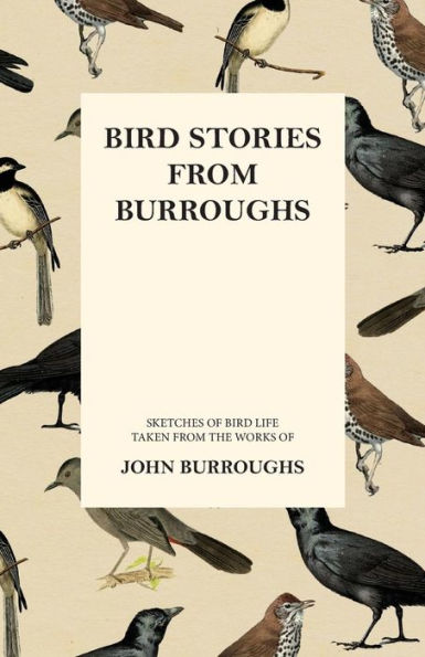 Bird Stories from Burroughs - Sketches of Life Taken the Works John