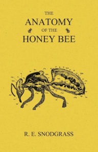 Title: The Anatomy of the Honey Bee, Author: R. E. Snodgrass