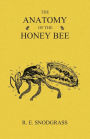 The Anatomy of the Honey Bee