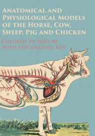 Title: Anatomical and Physiological Models of the Horse, Cow, Sheep, Pig and Chicken - Colored to Nature - With Explanatory Key, Author: Anon