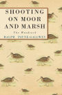 Shooting on Moor and Marsh - The Woodcock