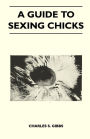A Guide To Sexing Chicks