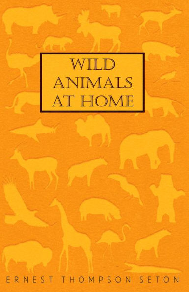 Wild Animals at Home