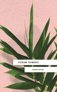 Title: Evening Primrose: a heart-wrenching novel for our times, Author: Kopano Matlwa