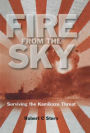 Fire From the Sky: Surviving the Kamikaze Threat