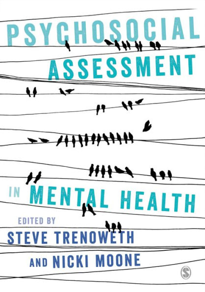 Psychosocial Assessment in Mental Health / Edition 1