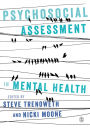 Psychosocial Assessment in Mental Health / Edition 1
