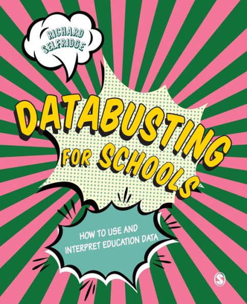 Databusting for Schools: How to Use and Interpret Education Data / Edition 1