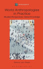 World Anthropologies in Practice: Situated Perspectives, Global Knowledge