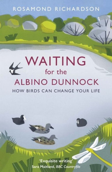 Waiting for the Albino Dunnock: How birds can change your life