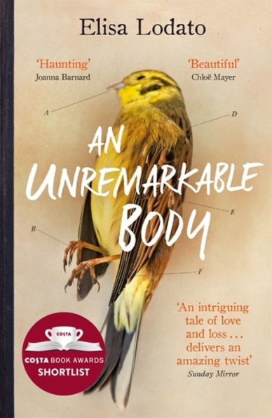 An Unremarkable Body: a stunning literary debut with twist