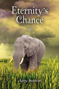 Title: Eternity's Chance, Author: Amy Sutton