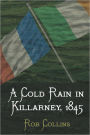 A Cold Rain In Killarney, 1845