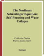 The Nonlinear Schrödinger Equation: Self-Focusing and Wave Collapse