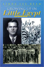 Growing Up in Little Egypt: The Rest of the Story