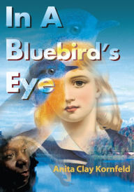 Title: In a Bluebird's Eye, Author: Anita C. Kornfeld