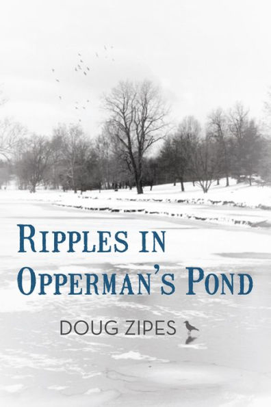 Ripples in Opperman's Pond