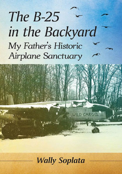 the B-25 Backyard: My Father's Historic Airplane Sanctuary