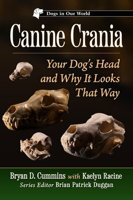 Canine Crania: Your Dog's Head and Why It Looks That Way