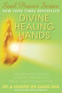 Divine Healing Hands: Experience Divine Power to Heal You, Animals, and ...