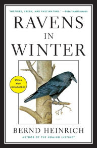 Title: Ravens in Winter, Author: Bernd Heinrich