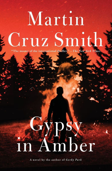 Gypsy in Amber (Roman Grey Series #1)