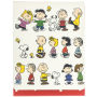 Peanuts Gang Pocket Notes